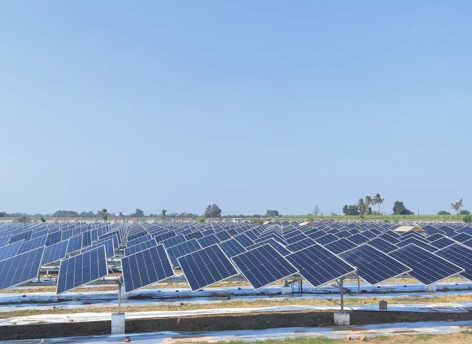 The Growing Trend of Solar Energy in Commercial and Industrial Spaces